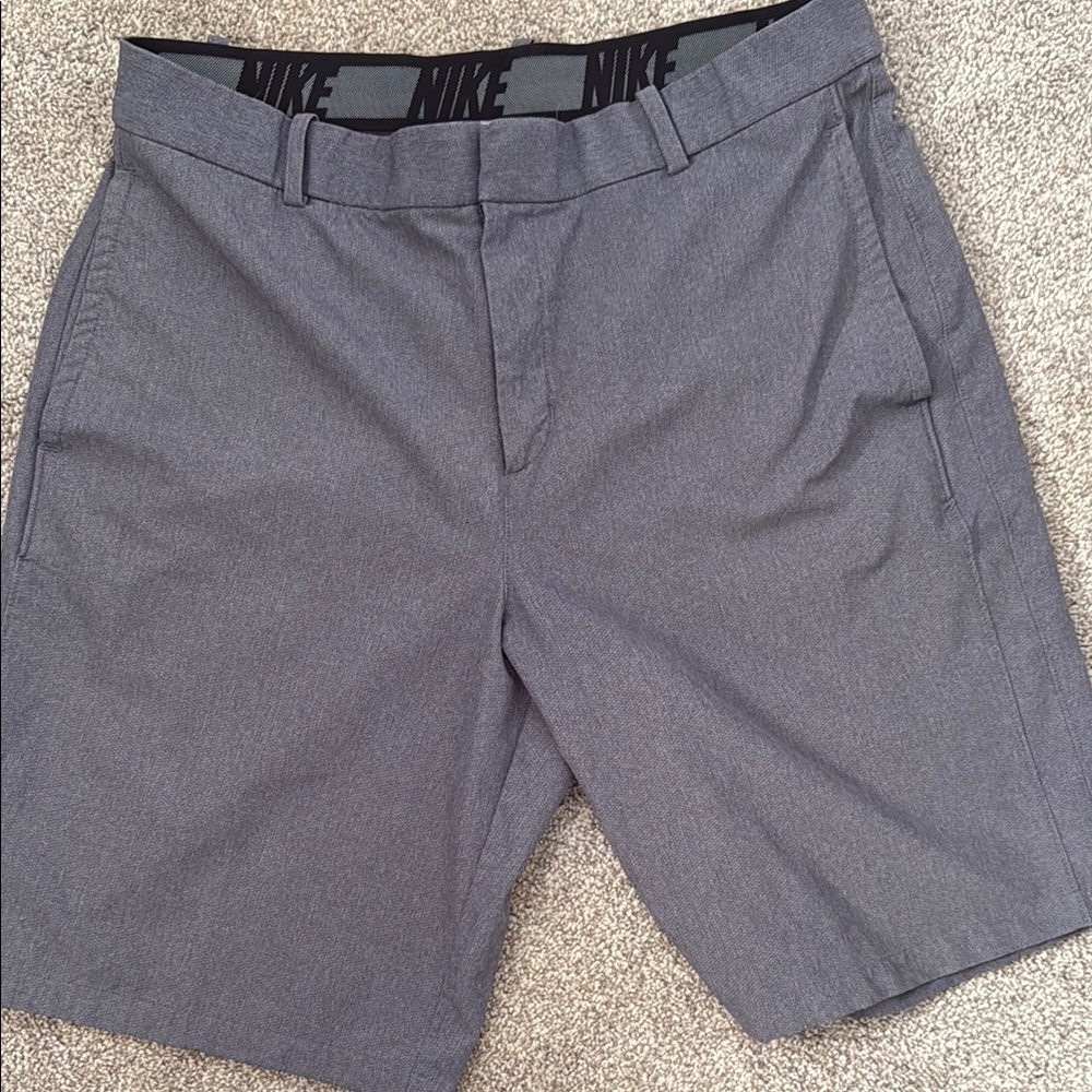 Nike Men's Gray Shorts
